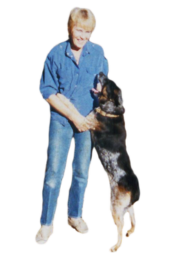 Pooch, Blue Heeler Breed, Erika Lina Erler - Talaska, 1980's